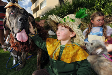 Pet Masquerade and Parade 2010 photo - Duval Street, Key West